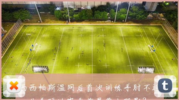 西西帕斯温网后首次训练手肘不适，北美硬地赛季前景蒙上阴影？